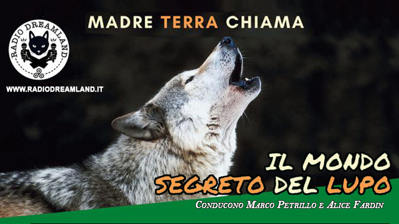 Radio Dreamland - Madre Terra Chiama