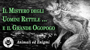 Radio Dreamland - Animali ed Enigmi