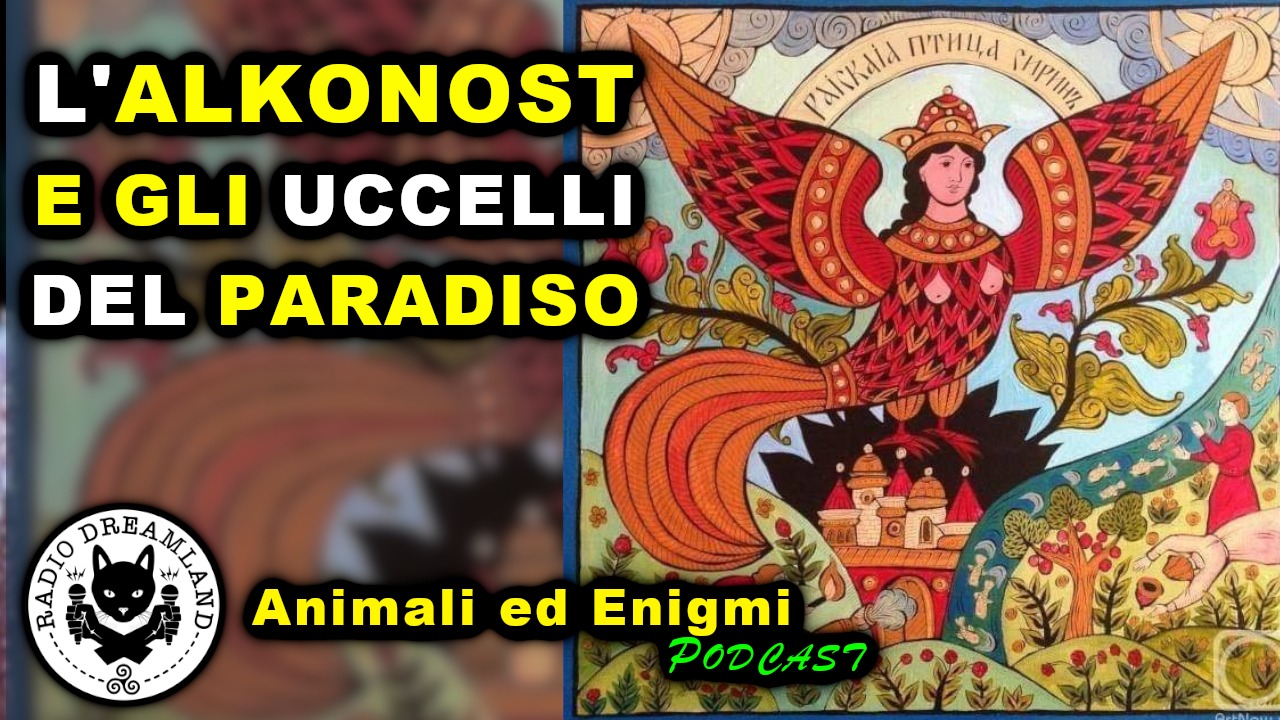 Radio Dreamland - Animali ed Enigmi