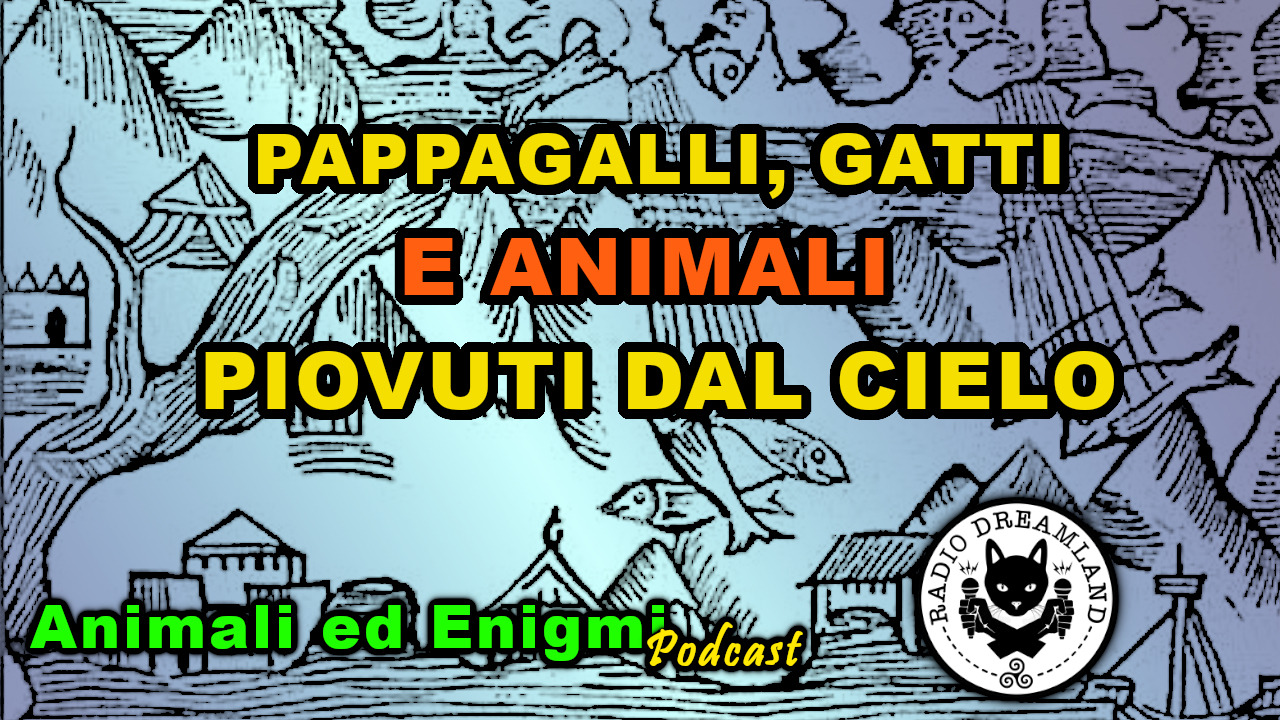 Radio Dreamland - Animali ed Enigmi