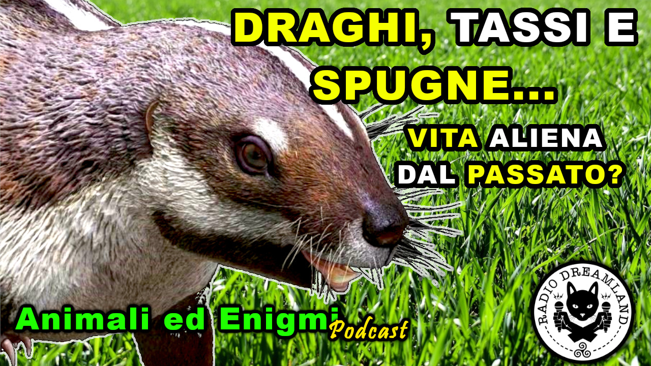 Radio Dreamland - Animali ed Enigmi